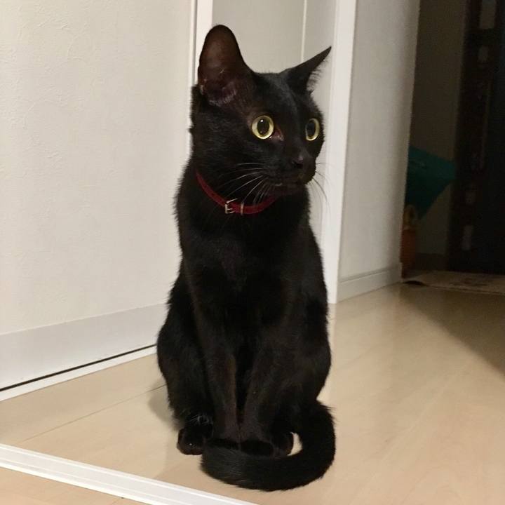 95f0e883 674a 45e6 9629 fa6279791984 1512316804750