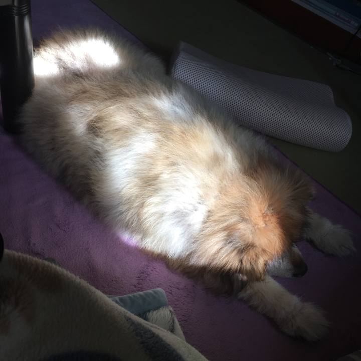 95f0ffd4 68ba 474d abca 81c3f6b392e1 1552786103063