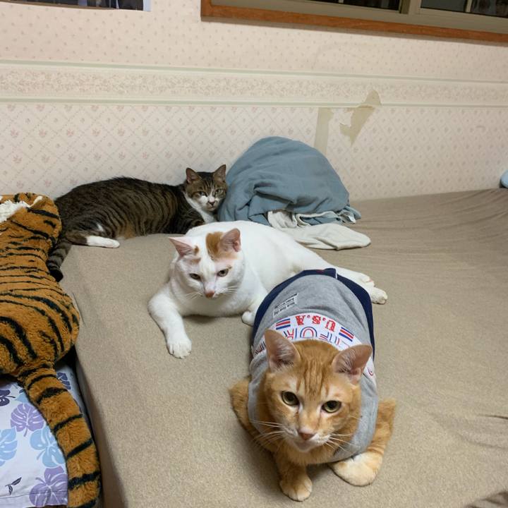 95f1242c ccb3 4424 ae8e ee1c6a6de5c0 1627131715704