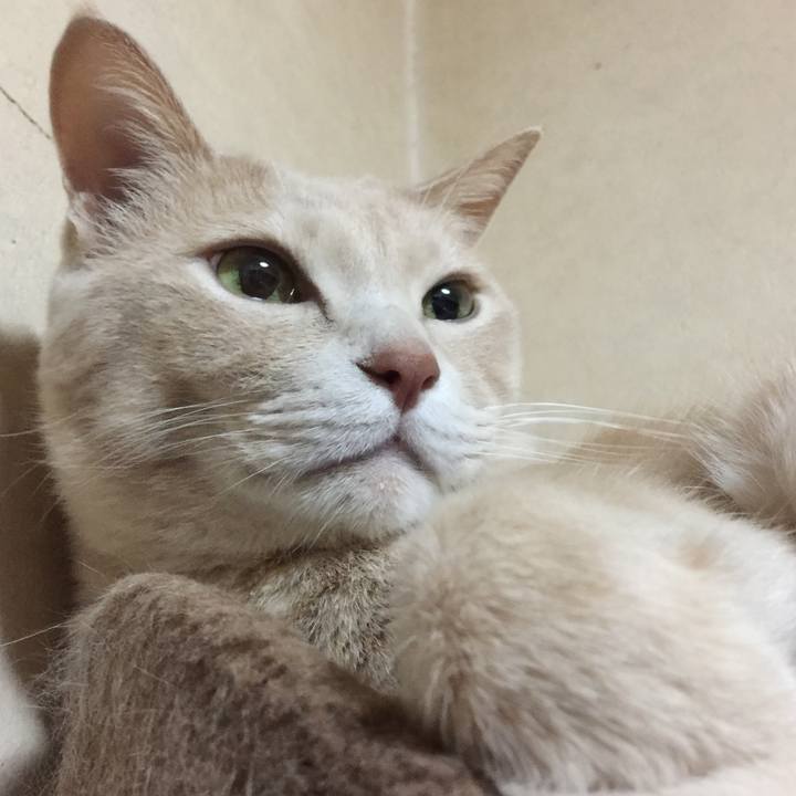 95f14fed 5ff1 4433 b57a 217923140d69 1584964211965