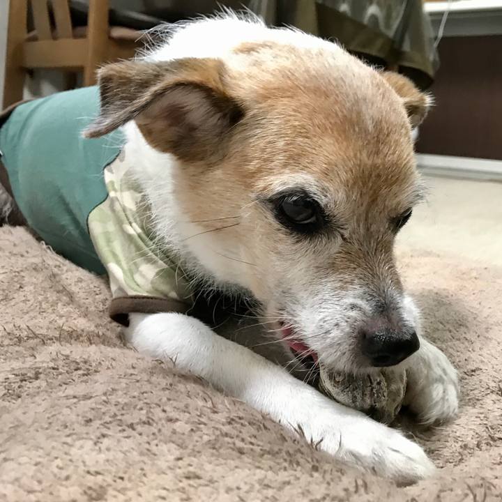 95f156d1 5220 4fe6 befa 2d885a15eee7 1665007211703