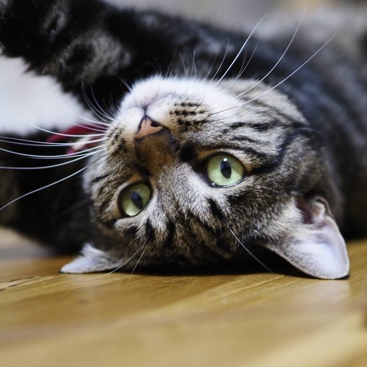 95f1589a 2583 4eaa a507 8431a9b2d8de 1630819314203