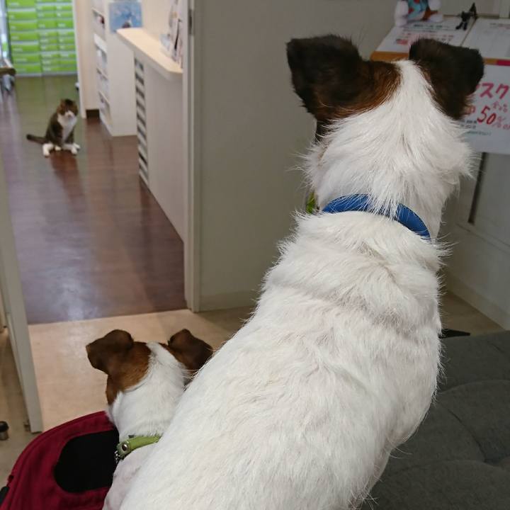 95f170af 4bfc 436b b8b2 38521b194361 1592622865390