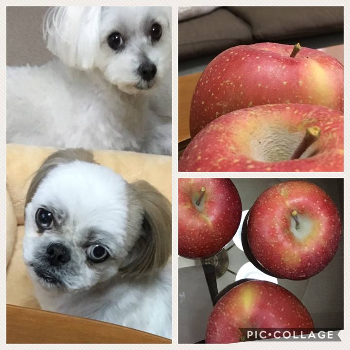 95f17f29 a8e0 4225 93fd c5d611898e76 1543046391475