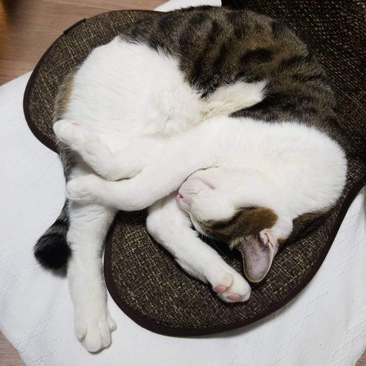 95f199d1 2370 4ab2 9772 d89371340735 1587124653339