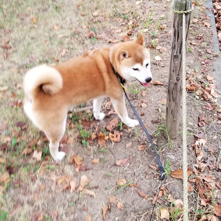 95f1a933 52d3 40d3 8c84 01c317349515 1598948717548