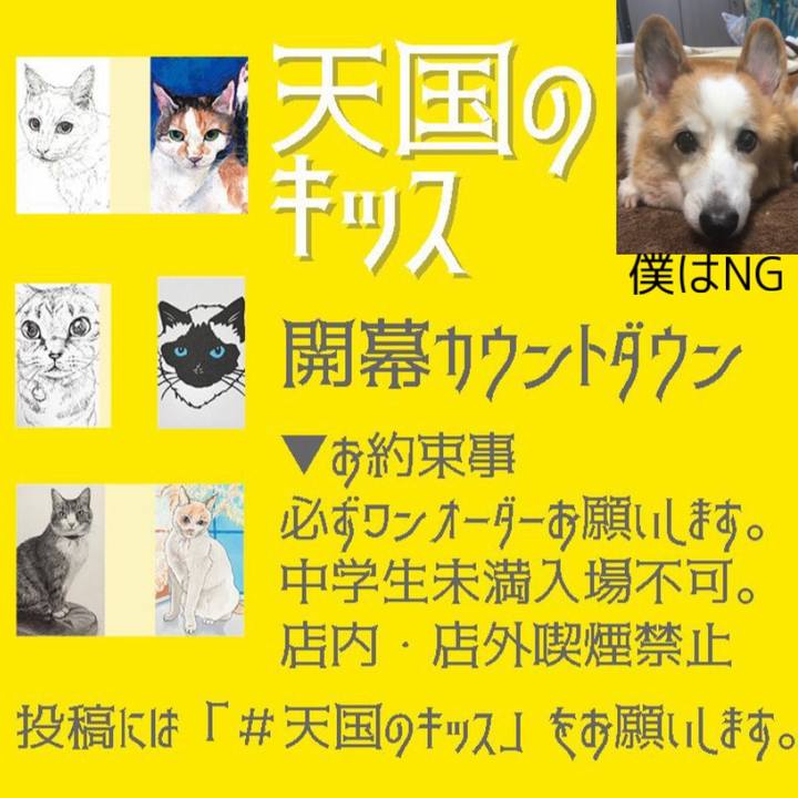 95f1b043 2301 4733 84b4 d38bf336a1c7 1580431451107