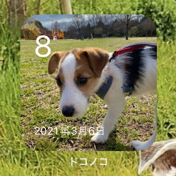 95f1cbd3 3976 4873 922b 2449d1073fcb 1709851922657