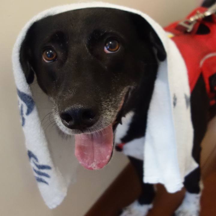 95f1d829 a549 4b7e a74d 6e16b5e8e294 1665709560654