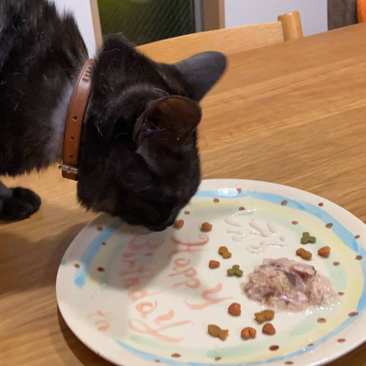 95f1ddc8 160b 4ea6 9618 3ff9e4a63308 1619695632575