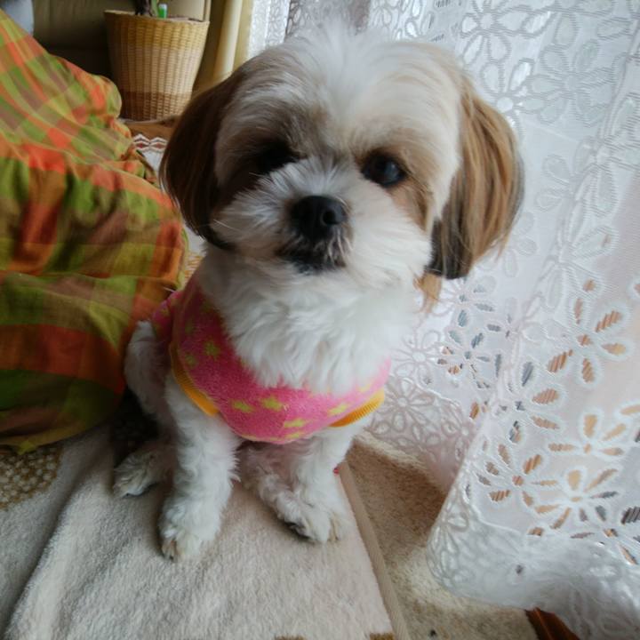 95f21fcd d08f 4b1b b9fd f5d646b2a9f9 1515977281091