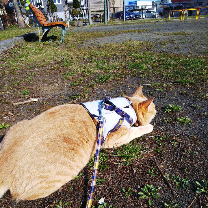 95f2593b 7b14 427c 90cc 8bb2325ad448 1587252321991