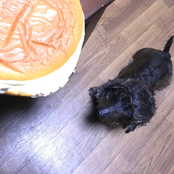 95f2601b 5795 4f14 9a40 e621ebf6dd62 1540127653501