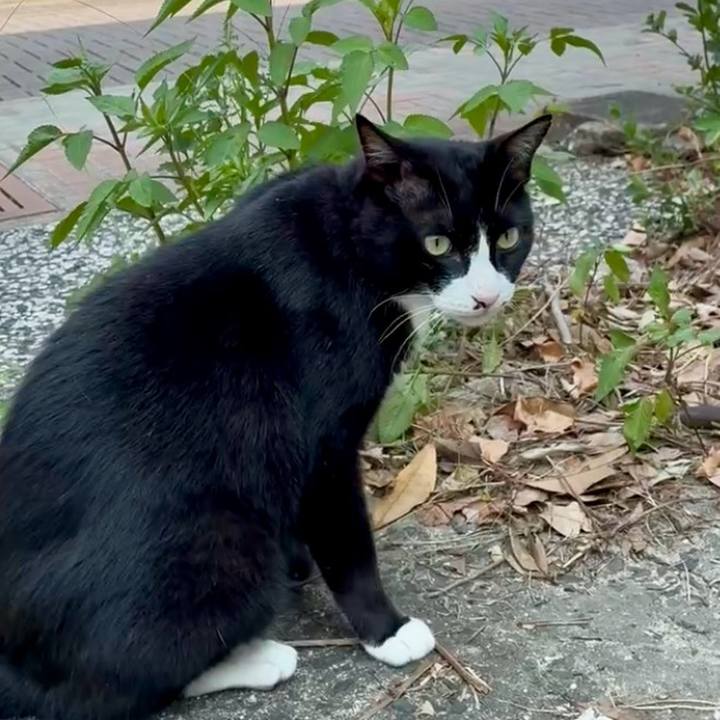 95f263cf 8093 4d2c be21 721d5c30ff6a 1751942866527