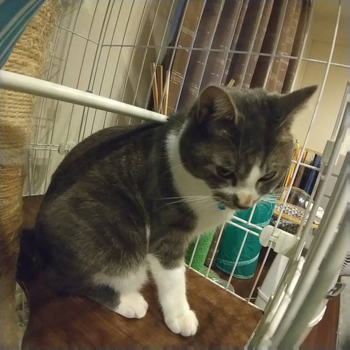 95f27891 ef30 4806 9fa1 864c68766db3 1607033899453