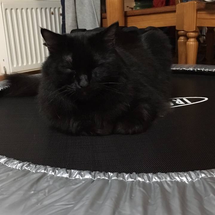 95f2f42d e671 4584 9a60 275aa9cc9f02 1508503697289