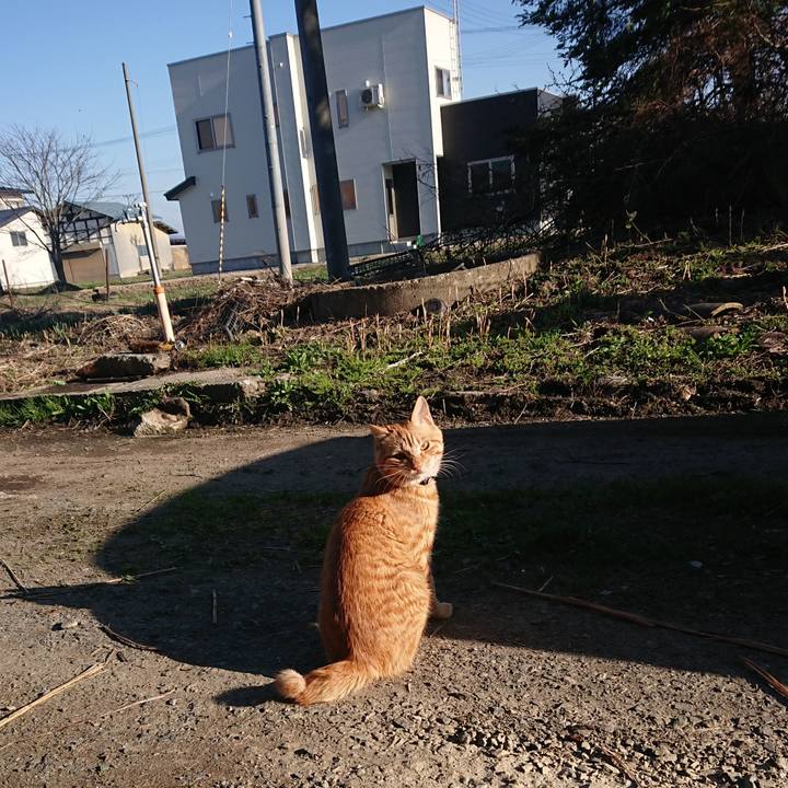 95f2f952 4209 488b a82c 1a4fb0ce9c21 1650181238448