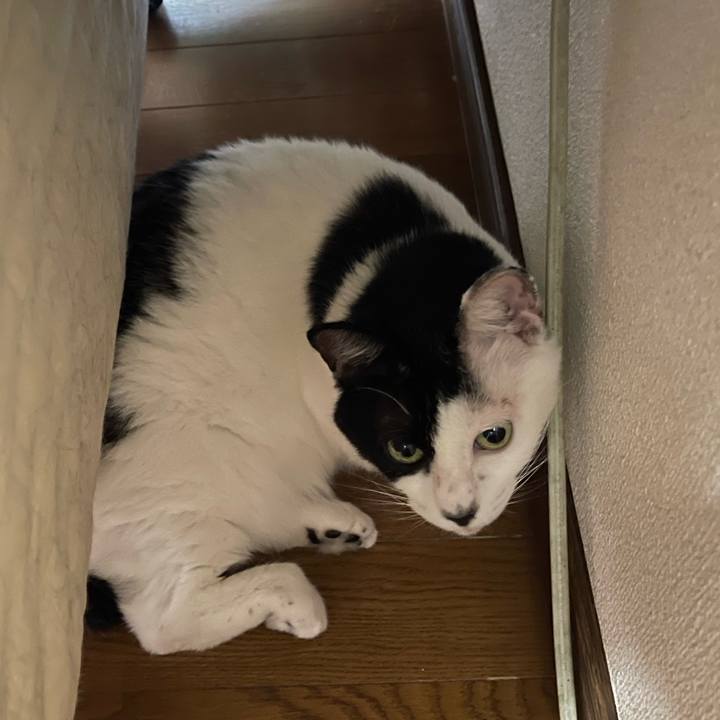 95f2fac6 28e3 47f2 93b3 0986c41e8d81 1756527565948