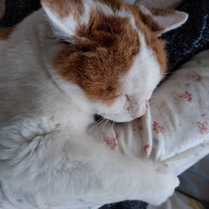 95f325b3 ae81 4519 b59f 4fc637109dea 1648641009877