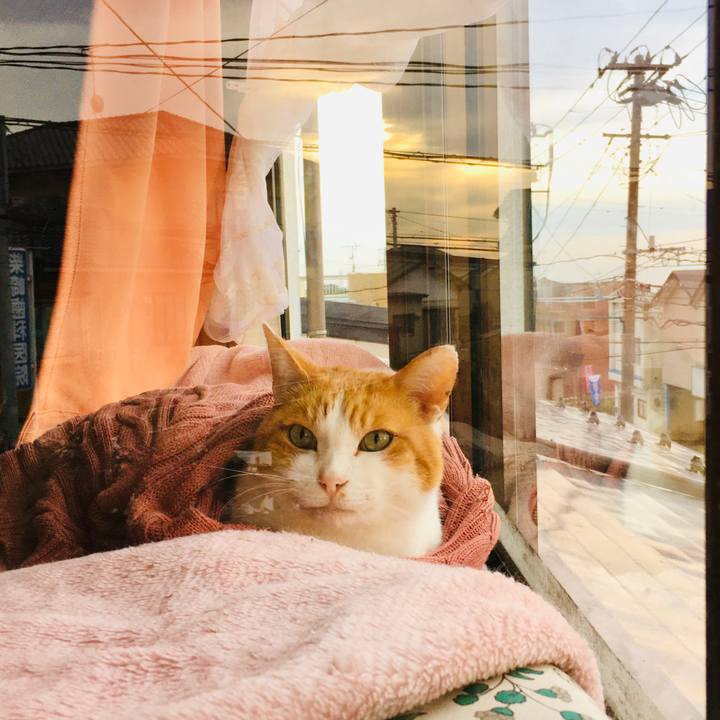 95f32cfd 2cbe 4e76 b5f1 f1268903df31 1573110627572