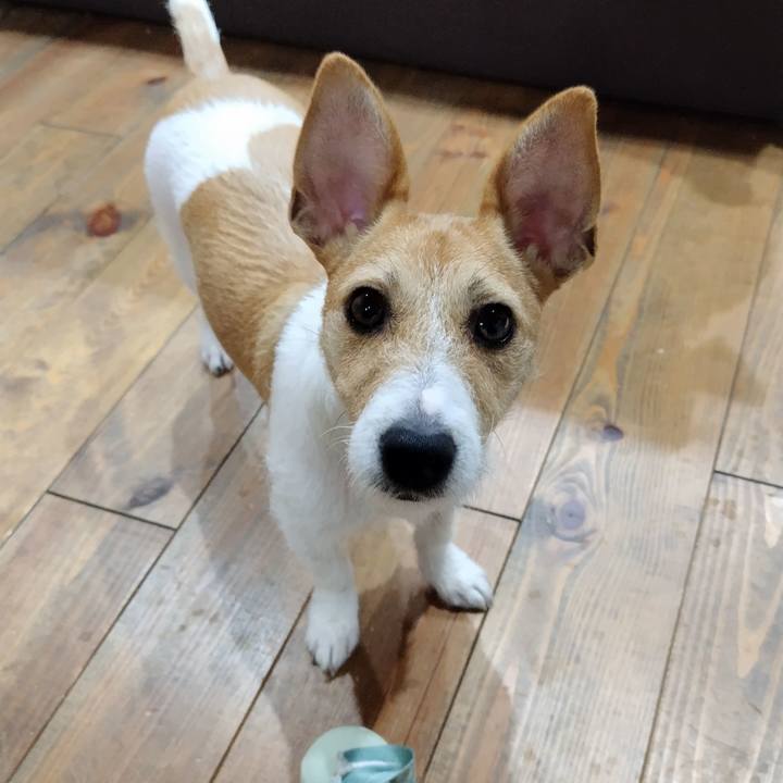 95f36501 4e3d 4706 be05 96043f00515d 1738333940686