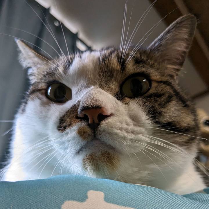 95f37370 1f84 42d3 8080 f0de056f474d 1689582777988