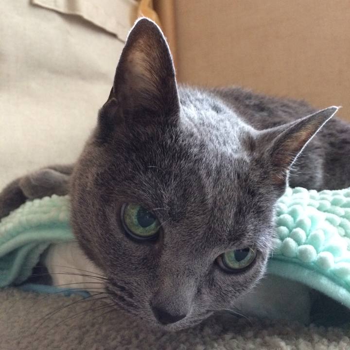 95f39d66 1e24 46af 9516 2f0521920435 1539643312226