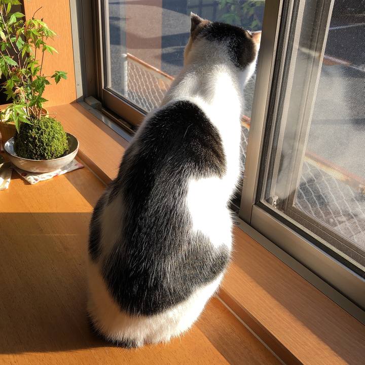 95f3d3c3 24f7 4998 a276 4ab4b3127667 1619993584607