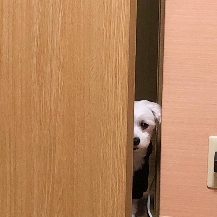 95f3e3f7 99a3 424a 8266 8d86dc06936c 1551192291370