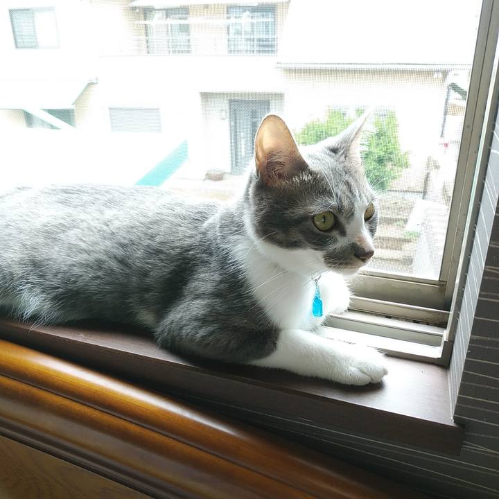 95f3f6d7 acc2 422a 9cb8 9cceed69d0ae 1592867437646