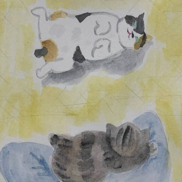 95f3fcec 9d70 40f0 bb0d a4f4b2405466 1630966698049