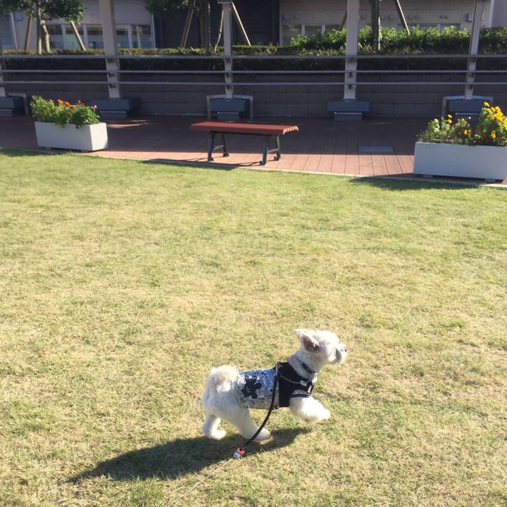 95f40080 ab82 46f9 9f61 d709ef080050 1508763035817