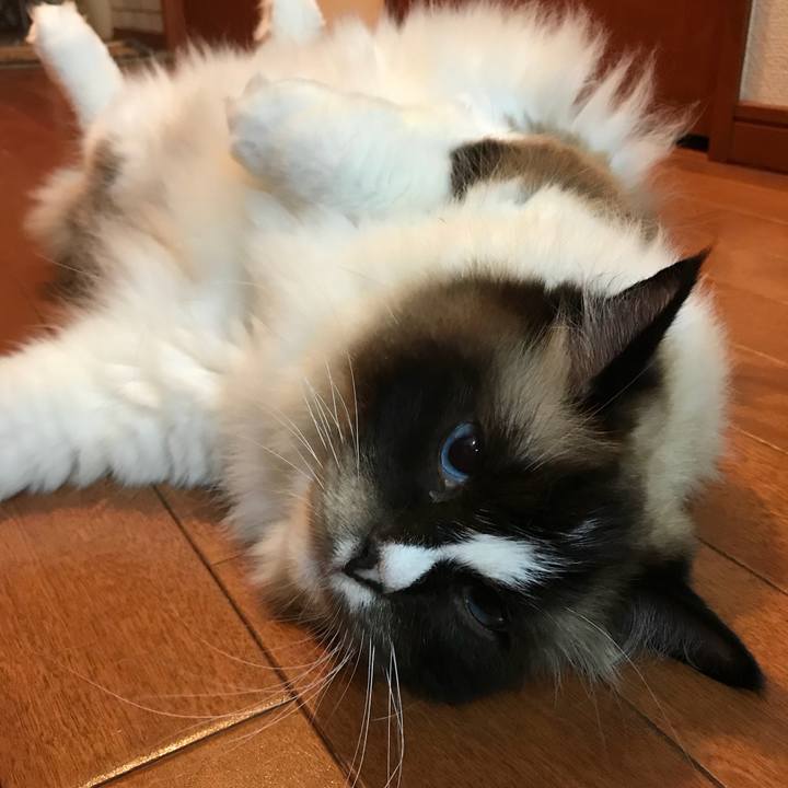 95f45021 baf2 4d00 af24 f7456dcc90ed 1530968276259