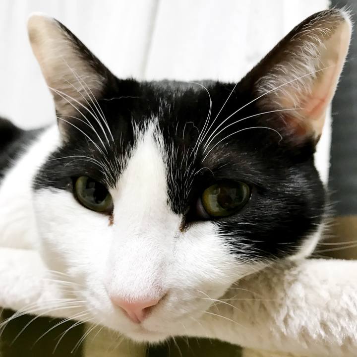 95f4fa05 603c 4fb1 8344 368e050c3b57 1520038199528