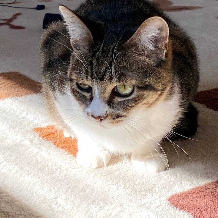 95f5061f 3892 4a5f 9d90 06ca0a8d12ee 1577847606818