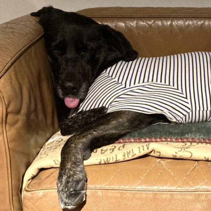 95f53799 fb2b 4f63 9e73 3b1164d91d02 1704026759698