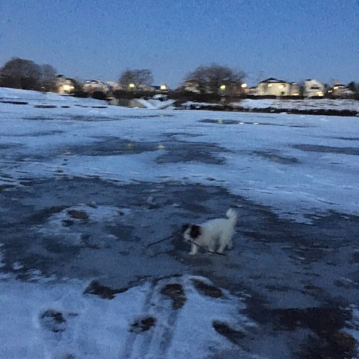 95f53b7c f4e4 4e82 b8a2 1628e41b0c92 1516831575423