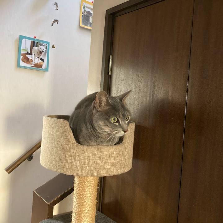 95f56d5e 65f5 4c70 aa29 49e2dbc3b290 1645923589528