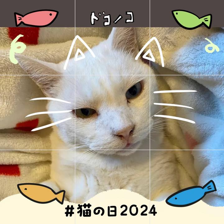 95f56f45 e082 4084 bbff 0f3f21633022 1708552251412