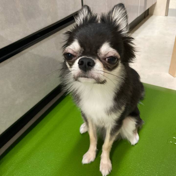 95f58850 419f 4553 9aed 42d24a4c9d5b 1631972128187