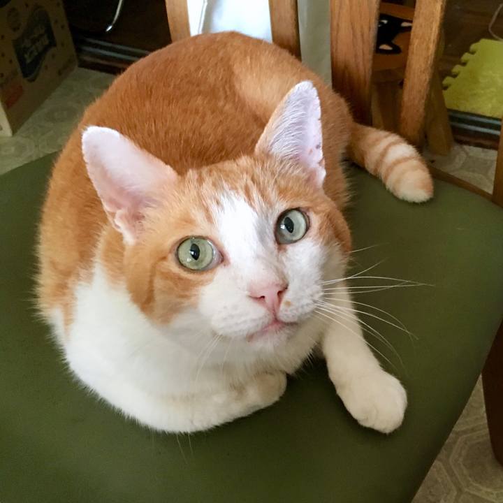 95f59a67 3e74 4e5e badd 5564b587c8c9 1566100079540