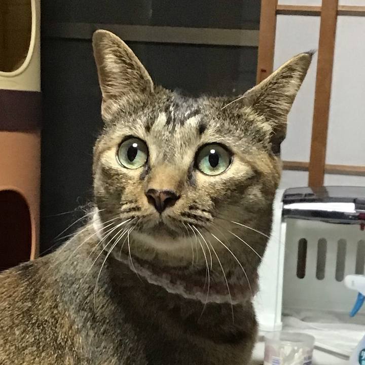 95f5b073 57c5 4ed3 b6f9 5e1ccde9c778 1664621504727