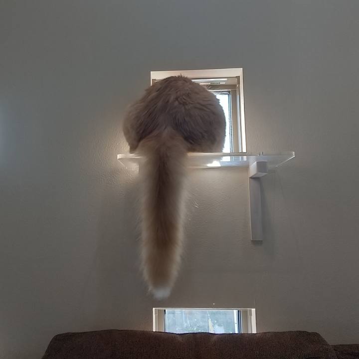 95f5d735 8927 4043 bdb5 33427662de6a 1632267056385