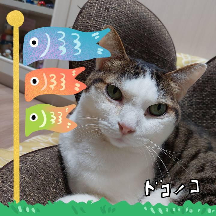 95f5e17c 6814 46c5 bfee 1d13c2aa96ce 1715079231520