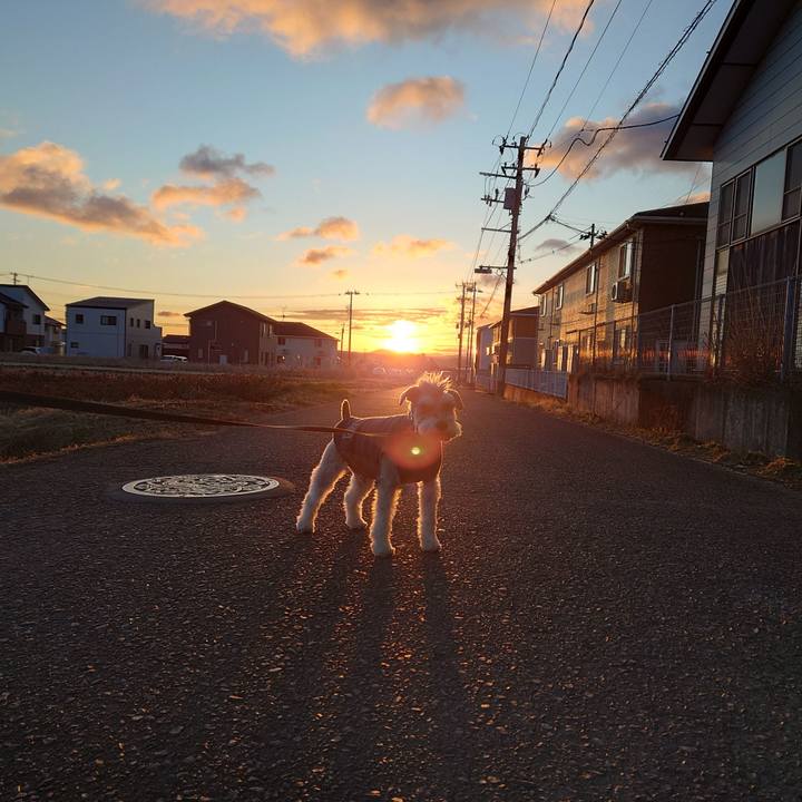 95f614fe d8b7 40a8 ba22 556ca96042a6 1768950439829