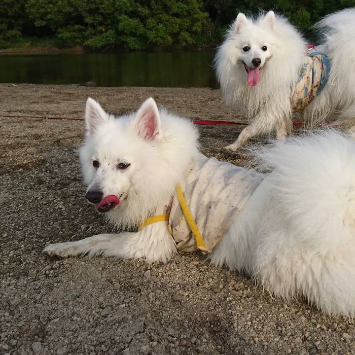 95f61fdb 209b 497e 9844 d40ab82f4549 1598792034323