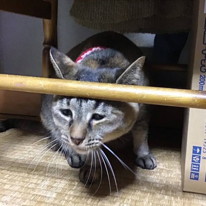 95f63183 0778 46a5 a112 a24d23060472 1681130595893