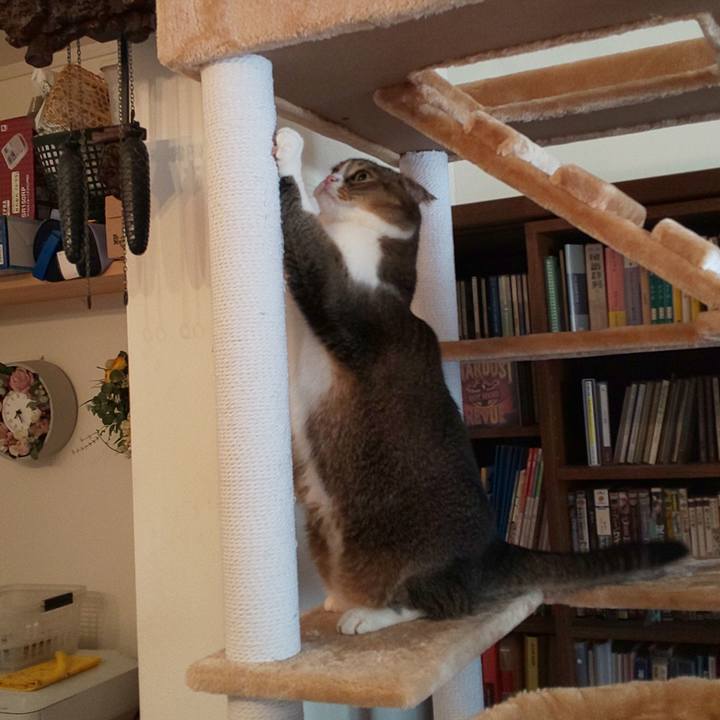 95f64a79 18fa 4b71 9dc9 c86a7ed3e400 1563230141591