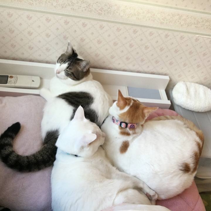 95f6be01 8940 4521 8c22 3c7c96762dc8 1517701501888