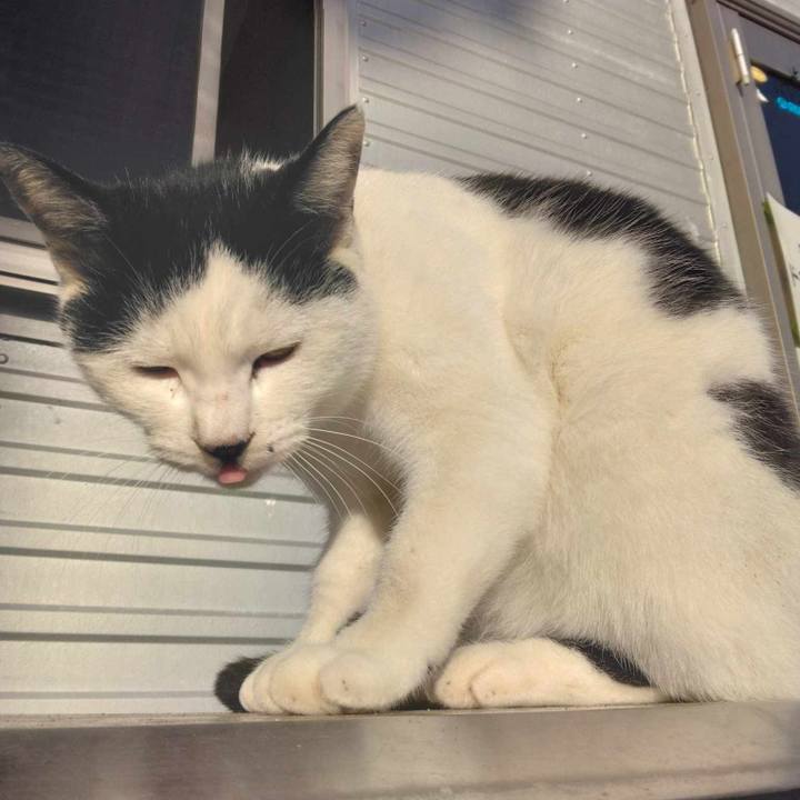 95f6e4be c5fa 4758 8cd5 886087b6c09e 1700703176671